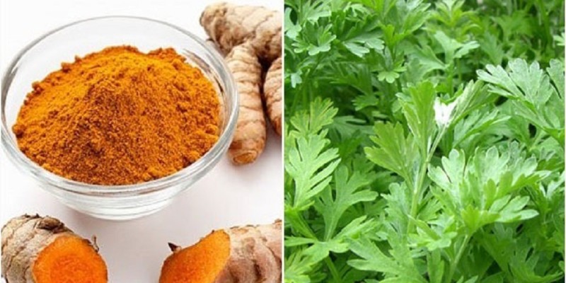 Cách ép cân cho gà chọi bằng om bóp thảo mộc